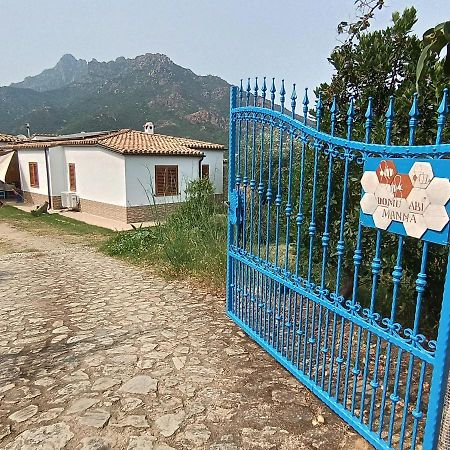 Villa Domu Abi Manna Tertenìa Exterior foto