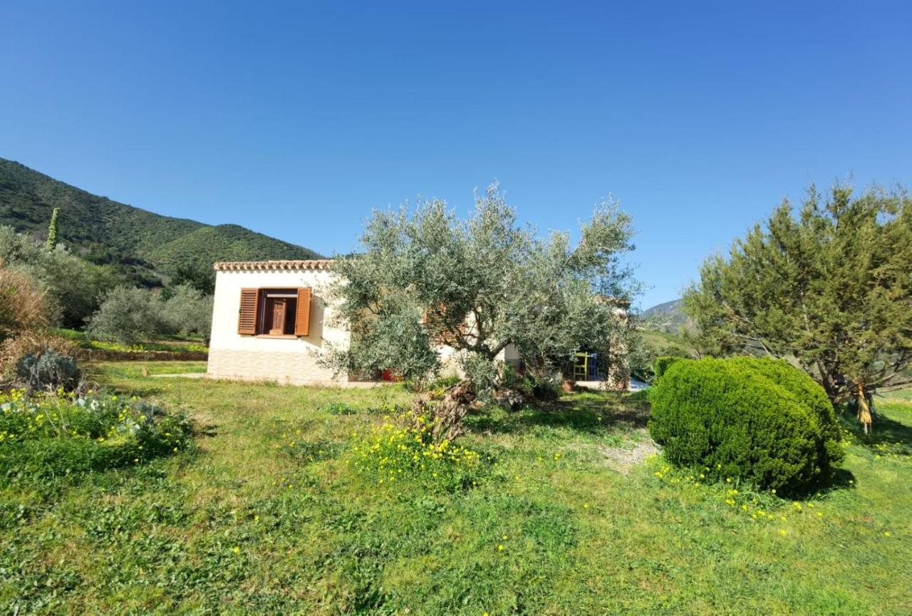 Villa Domu Abi Manna Tertenìa Exterior foto
